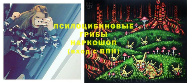 мдпв Абаза