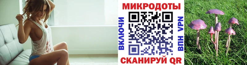 купить наркоту  Азов  Галлюциногенные грибы Cubensis 