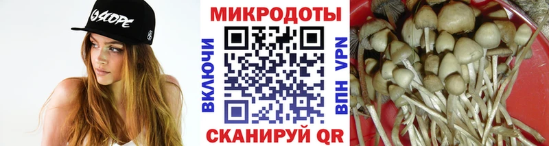 Псилоцибиновые грибы мухоморы Азов